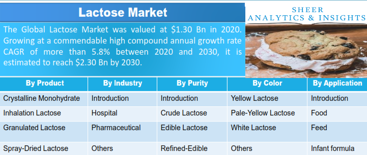 Lactose Market